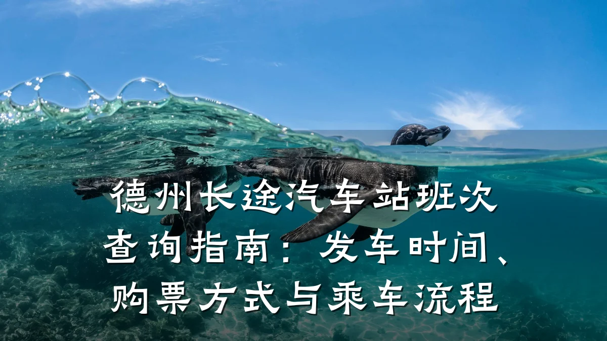 德州长途汽车站班次查询指南:发车时间、购票方式与乘车流程