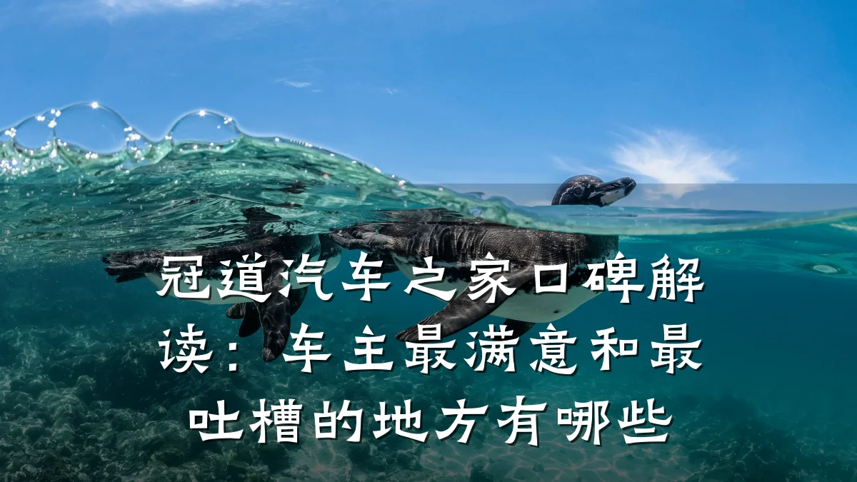 冠道汽车之家口碑解读：车主最满意和最吐槽的地方有哪些