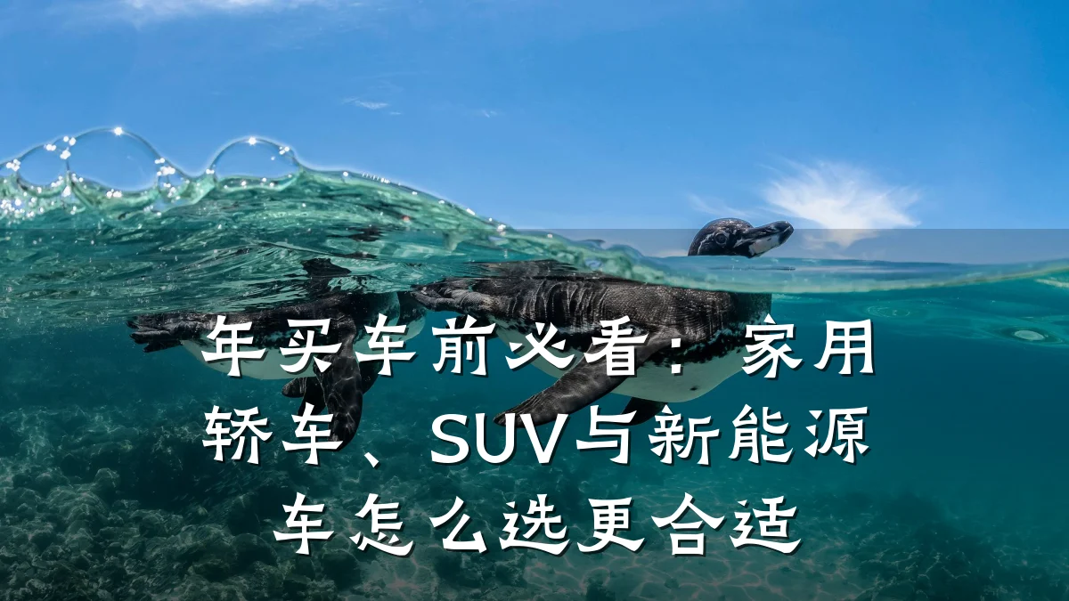 年买车前必看:家用轿车、SUV与新能源车怎么选更合适