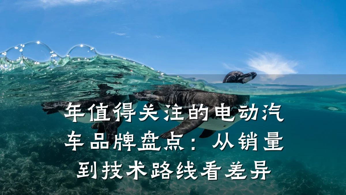 年值得关注的电动汽车品牌盘点:从销量到技术路线看差异