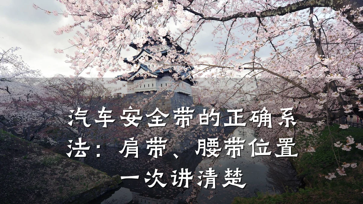 汽车安全带的正确系法：肩带、腰带位置一次讲清楚