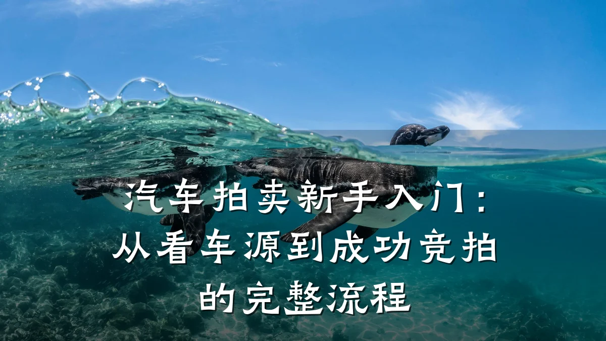 汽车拍卖新手入门：从看车源到成功竞拍的完整流程