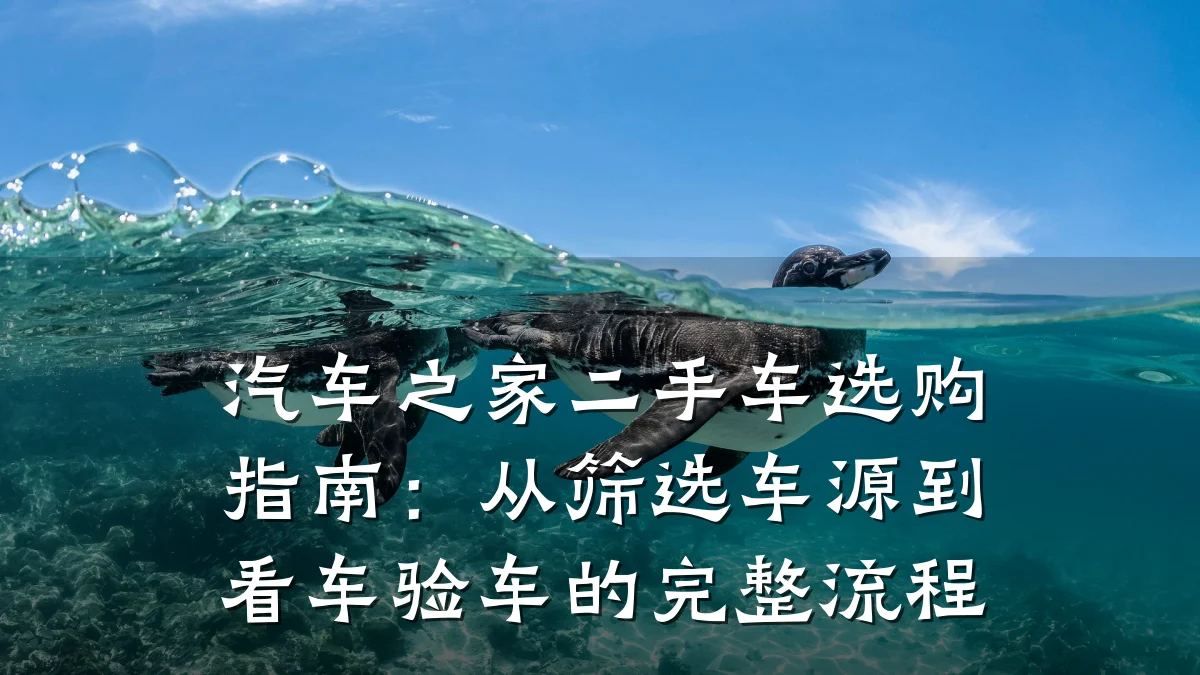 汽车之家二手车选购指南:从筛选车源到看车验车的完整流程