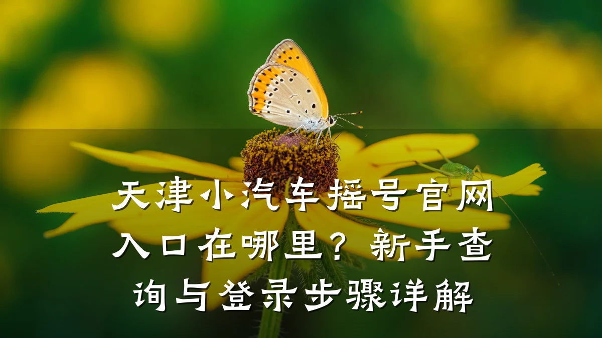 天津小汽车摇号官网入口在哪里？新手查询与登录步骤详解