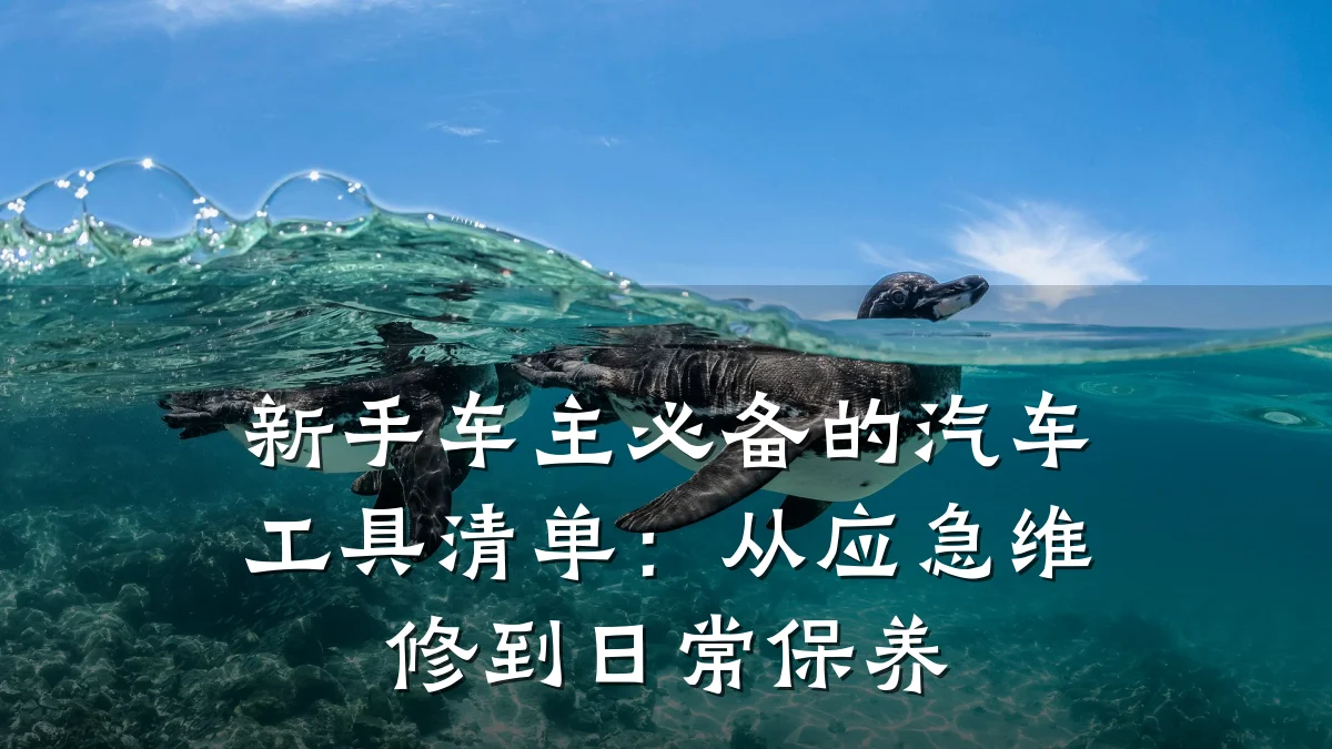 新手车主必备的汽车工具清单：从应急维修到日常保养
