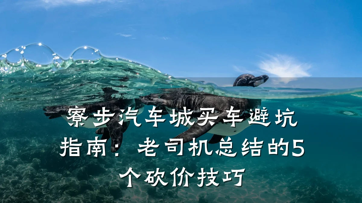 寮步汽车城买车避坑指南:老司机总结的5个砍价技巧