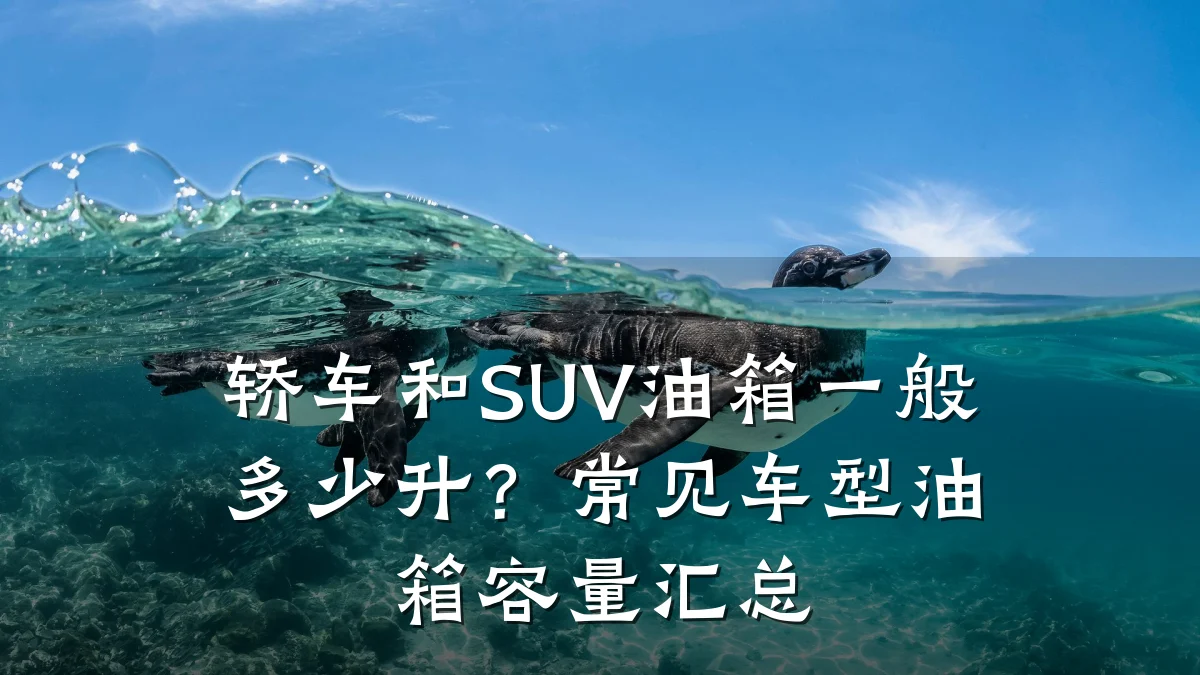 轿车和SUV油箱一般多少升？常见车型油箱容量汇总