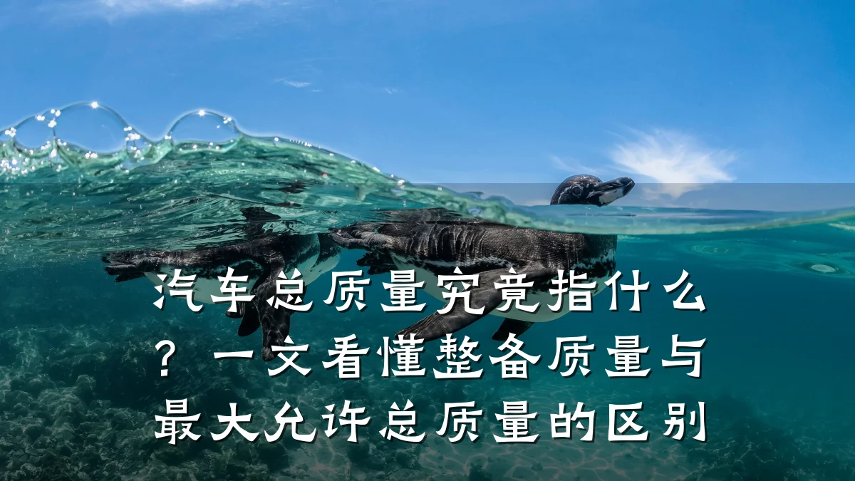 汽车总质量究竟指什么？一文看懂整备质量与最大允许总质量的区别