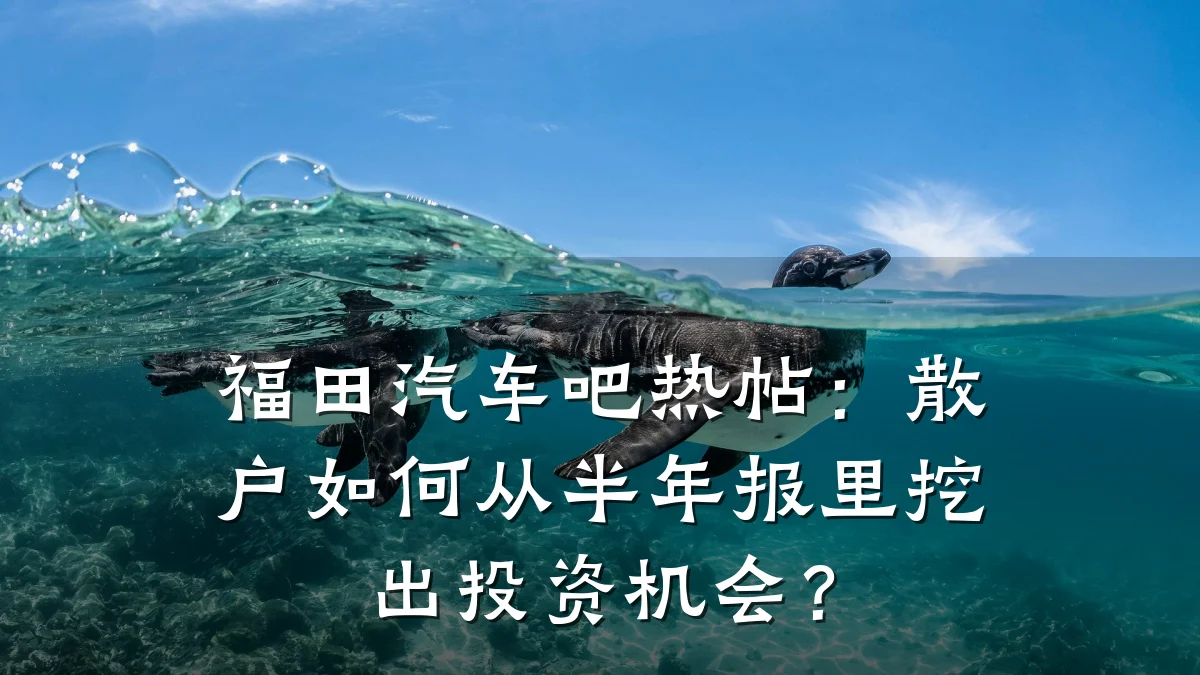 福田汽车吧热帖:散户如何从半年报里挖出投资机会?