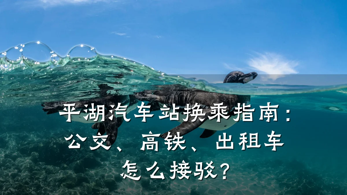 平湖汽车站换乘指南:公交、高铁、出租车怎么接驳?