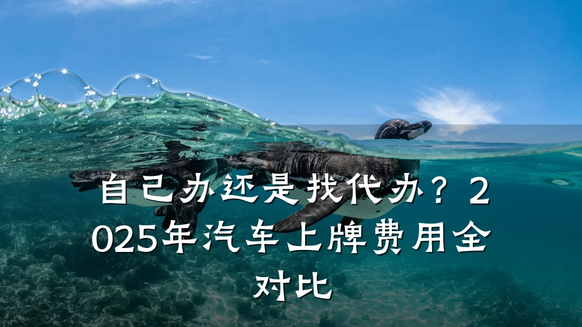自己办还是找代办？2025年汽车上牌费用全对比