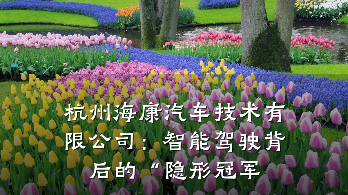 杭州海康汽车技术有限公司：智能驾驶背后的“隐形冠军