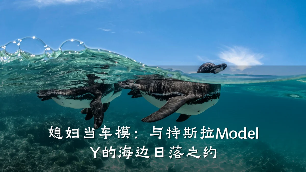 媳妇当车模：与特斯拉Model Y的海边日落之约