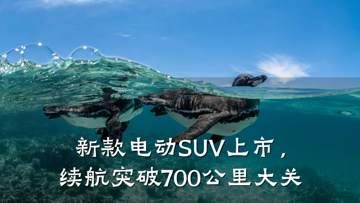新款电动SUV上市，续航突破700公里大关