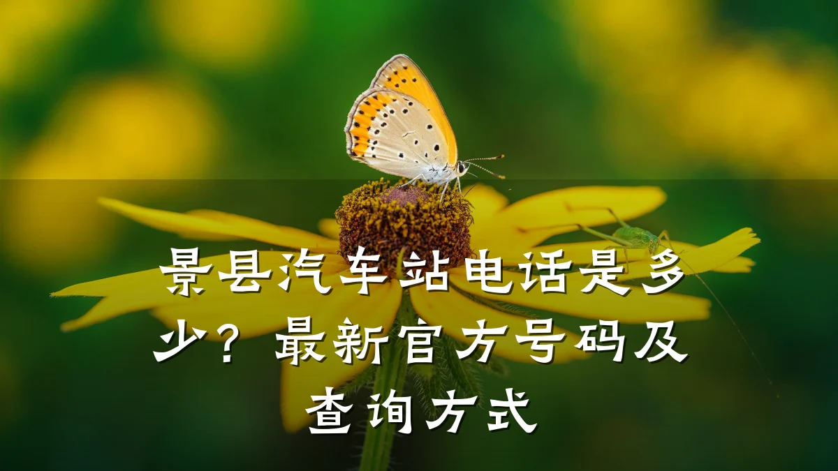 景县汽车站电话是多少？最新官方号码及查询方式
