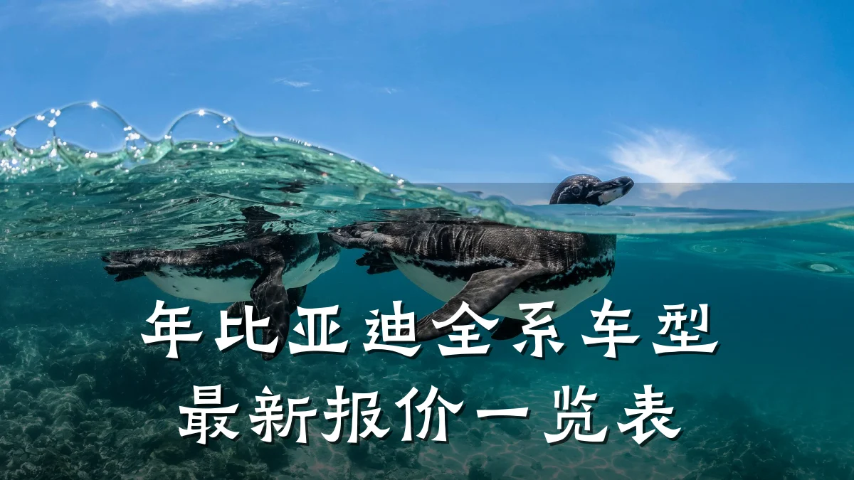 年比亚迪全系车型最新报价一览表