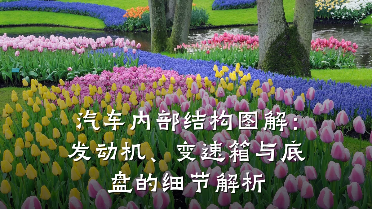 汽车内部结构图解：发动机、变速箱与底盘的细节解析