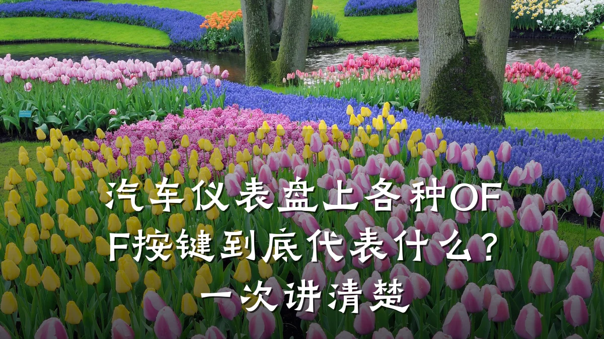 汽车仪表盘上各种OFF按键到底代表什么？一次讲清楚