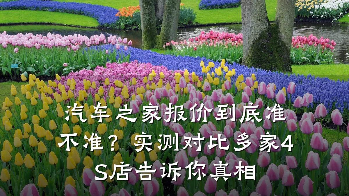 汽车之家报价到底准不准?实测对比多家4S店告诉你真相