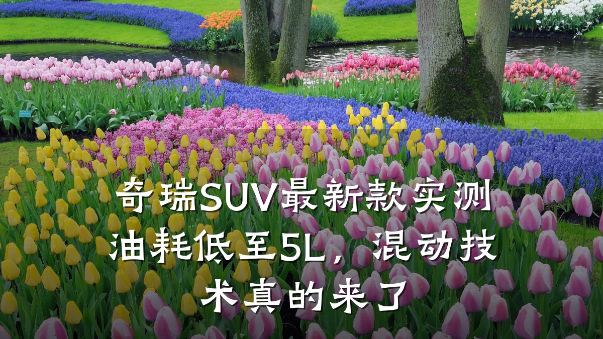 奇瑞SUV最新款实测油耗低至5L,混动技术真的来了