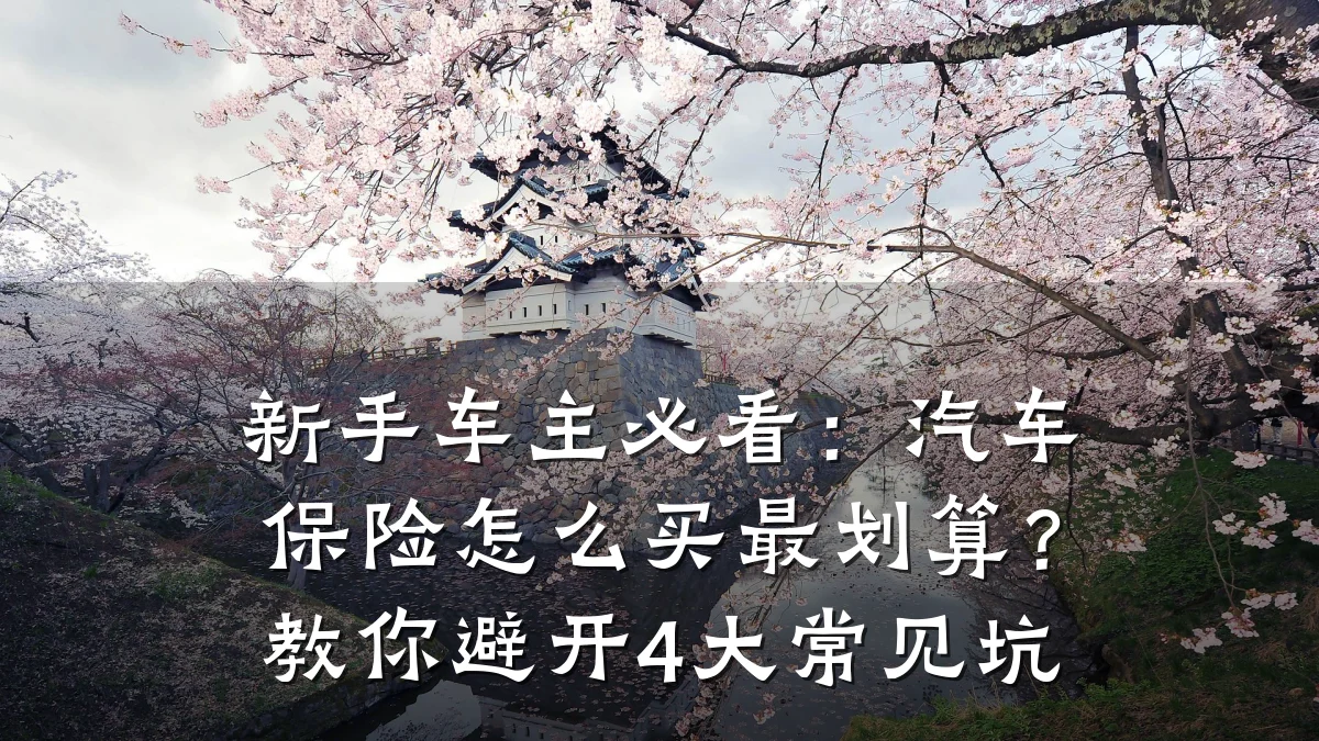 新手车主必看:汽车保险怎么买最划算?教你避开4大常见坑
