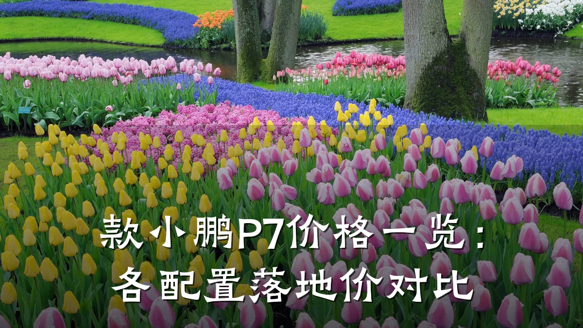 款小鹏P7价格一览:各配置落地价对比