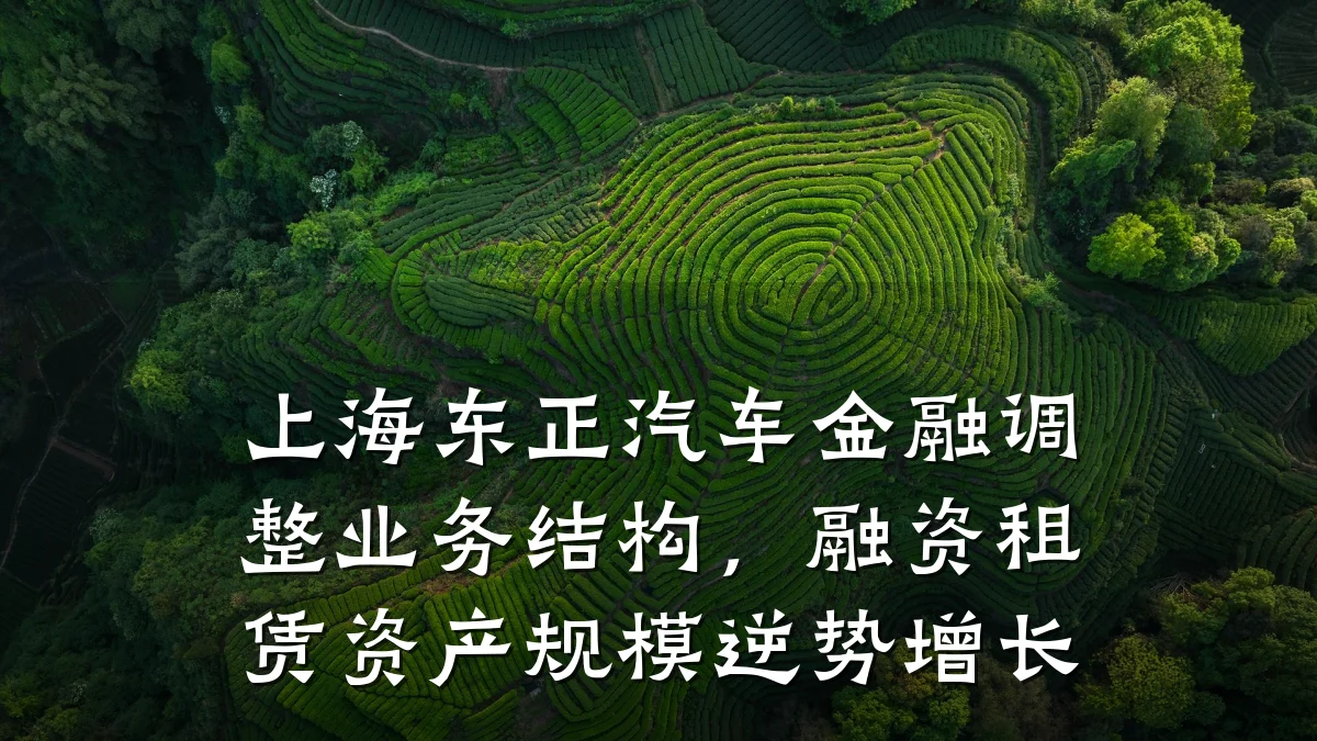 上海东正汽车金融调整业务结构,融资租赁资产规模逆势增长