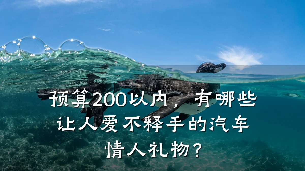 预算200以内，有哪些让人爱不释手的汽车情人礼物？