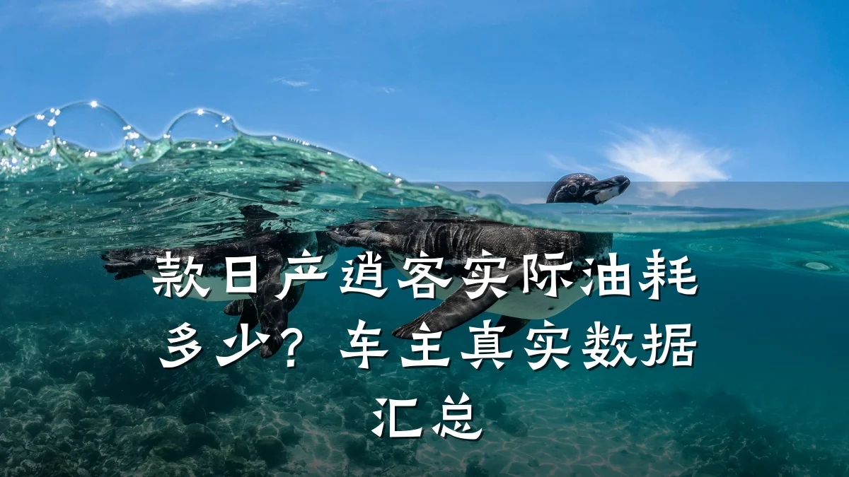 款日产逍客实际油耗多少?车主真实数据汇总