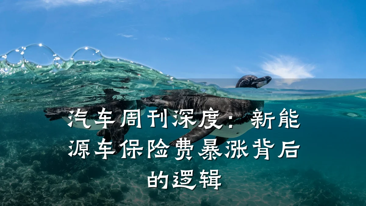 汽车周刊深度：新能源车保险费暴涨背后的逻辑