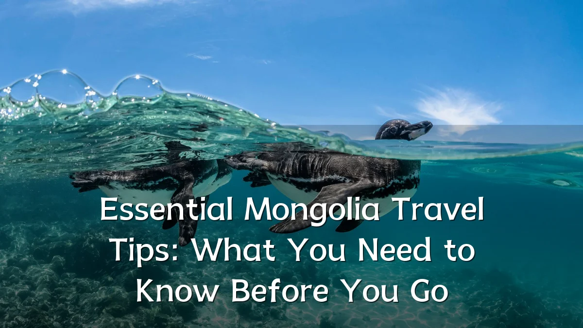 Essential Mongolia Travel Tips: What You Need to Know Before You Go
