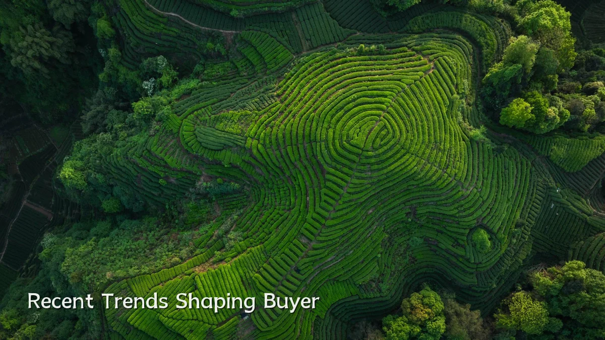Recent Trends Shaping Buyer