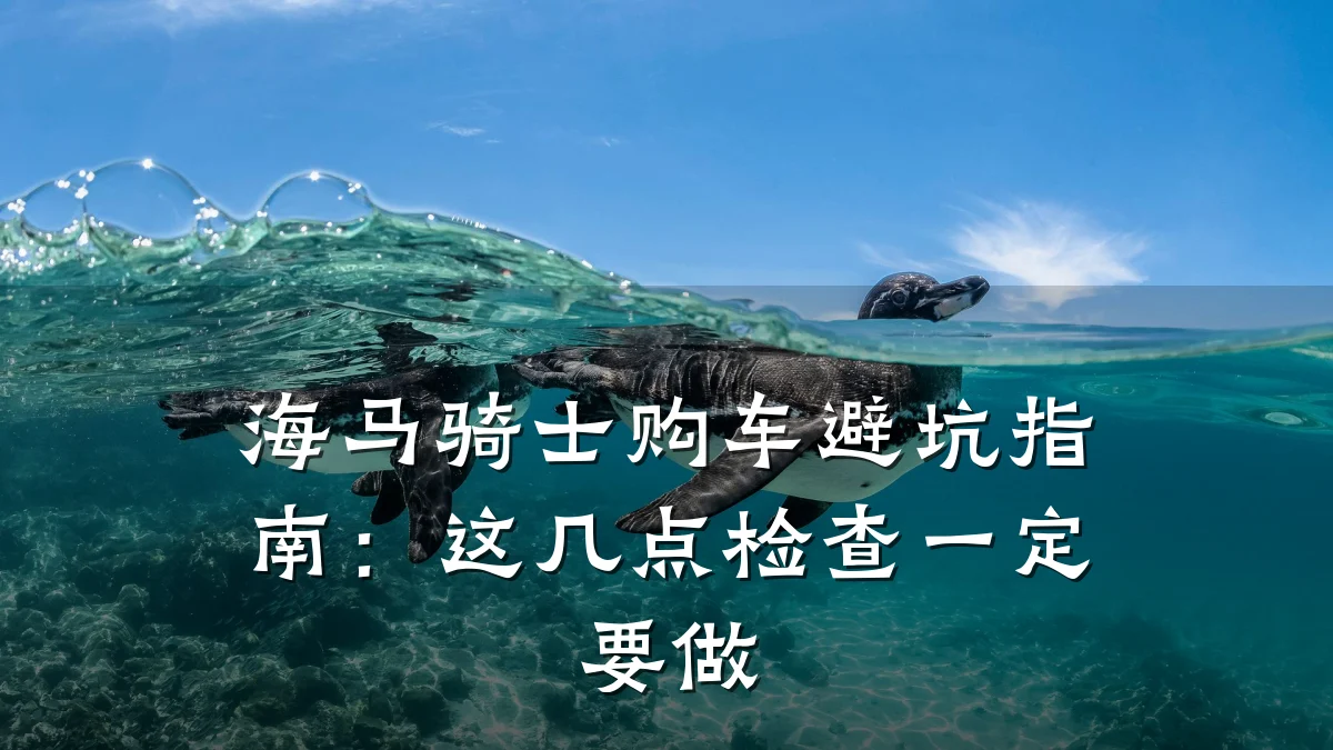 海马骑士购车避坑指南：这几点检查一定要做