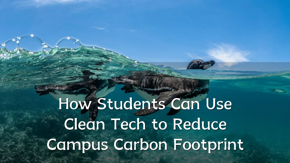 How Students Can Use Clean Tech to Reduce Campus Carbon Footprint