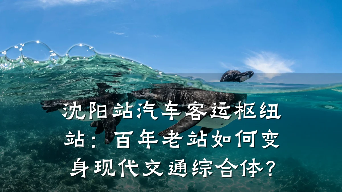 沈阳站汽车客运枢纽站:百年老站如何变身现代交通综合体?