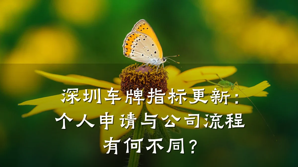 深圳车牌指标更新：个人申请与公司流程有何不同？