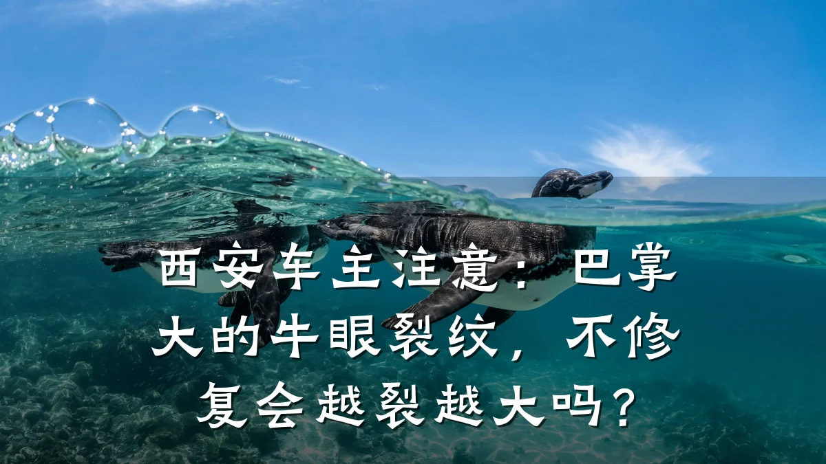 西安车主注意:巴掌大的牛眼裂纹,不修复会越裂越大吗?