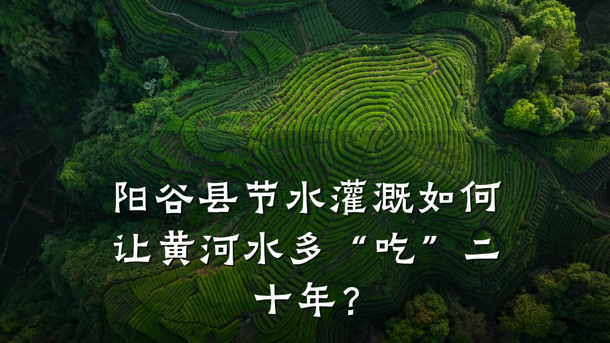 阳谷县节水灌溉如何让黄河水多“吃”二十年?