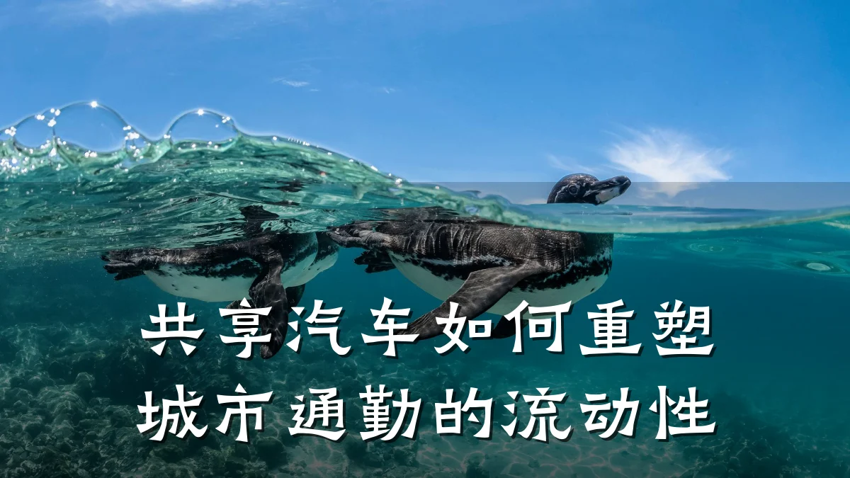 共享汽车如何重塑城市通勤的流动性