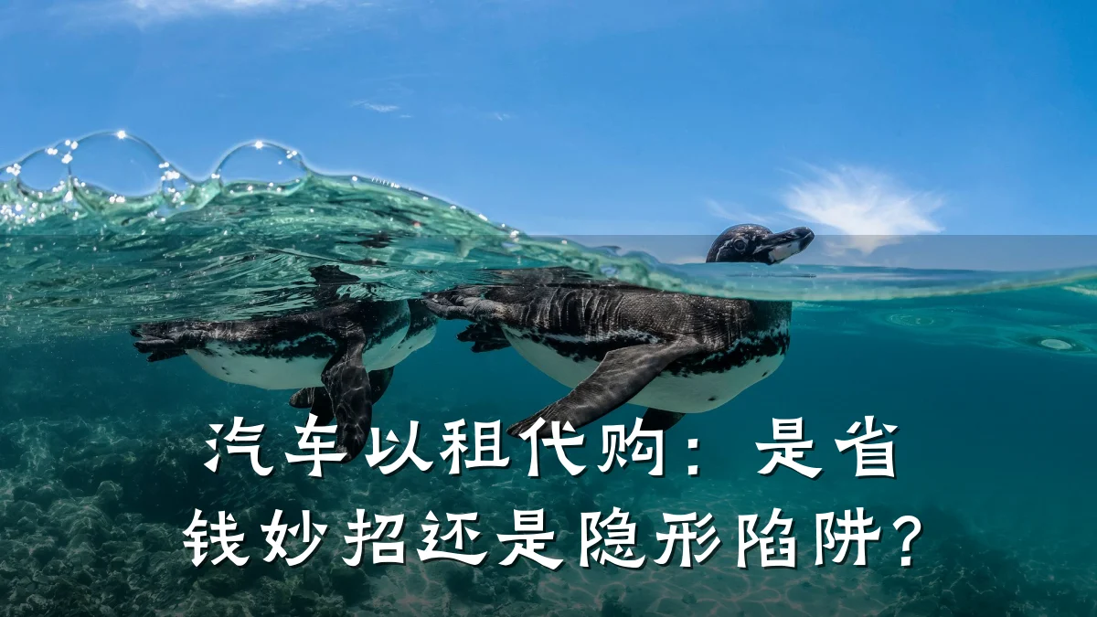 汽车以租代购：是省钱妙招还是隐形陷阱？