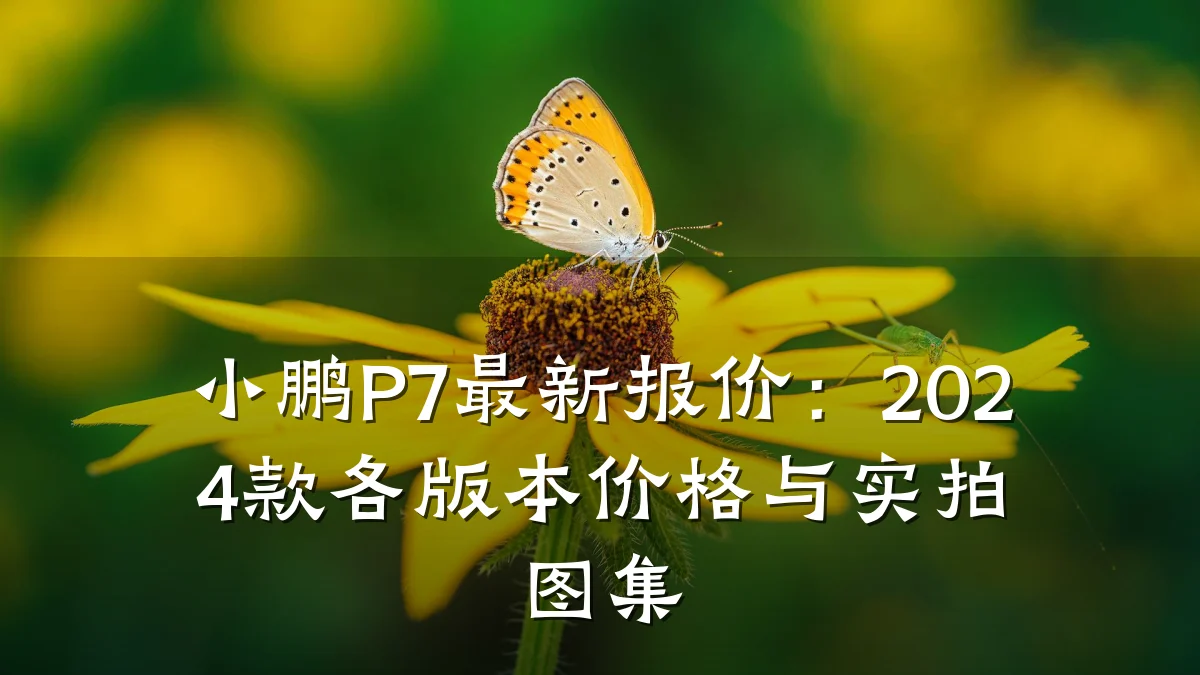 小鹏P7最新报价:2024款各版本价格与实拍图集