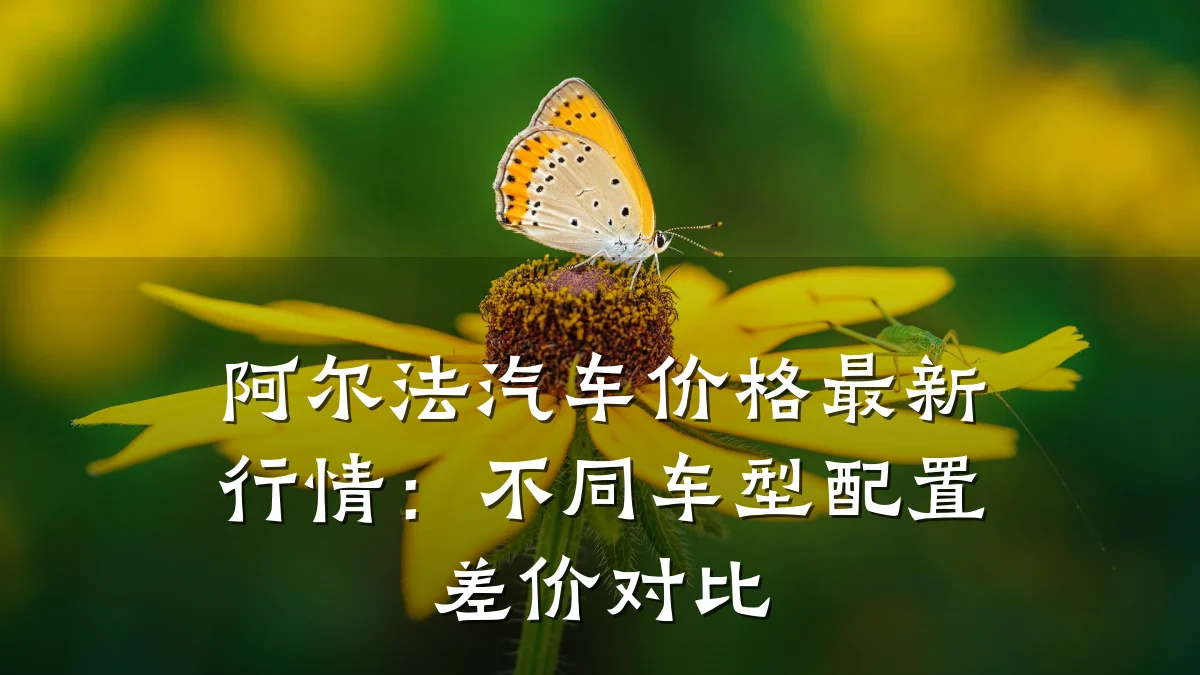 阿尔法汽车价格最新行情:不同车型配置差价对比
