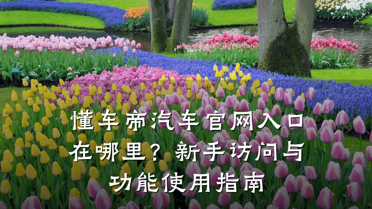 懂车帝汽车官网入口在哪里?新手访问与功能使用指南