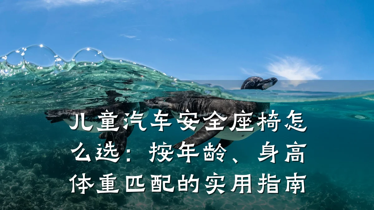 儿童汽车安全座椅怎么选:按年龄、身高体重匹配的实用指南
