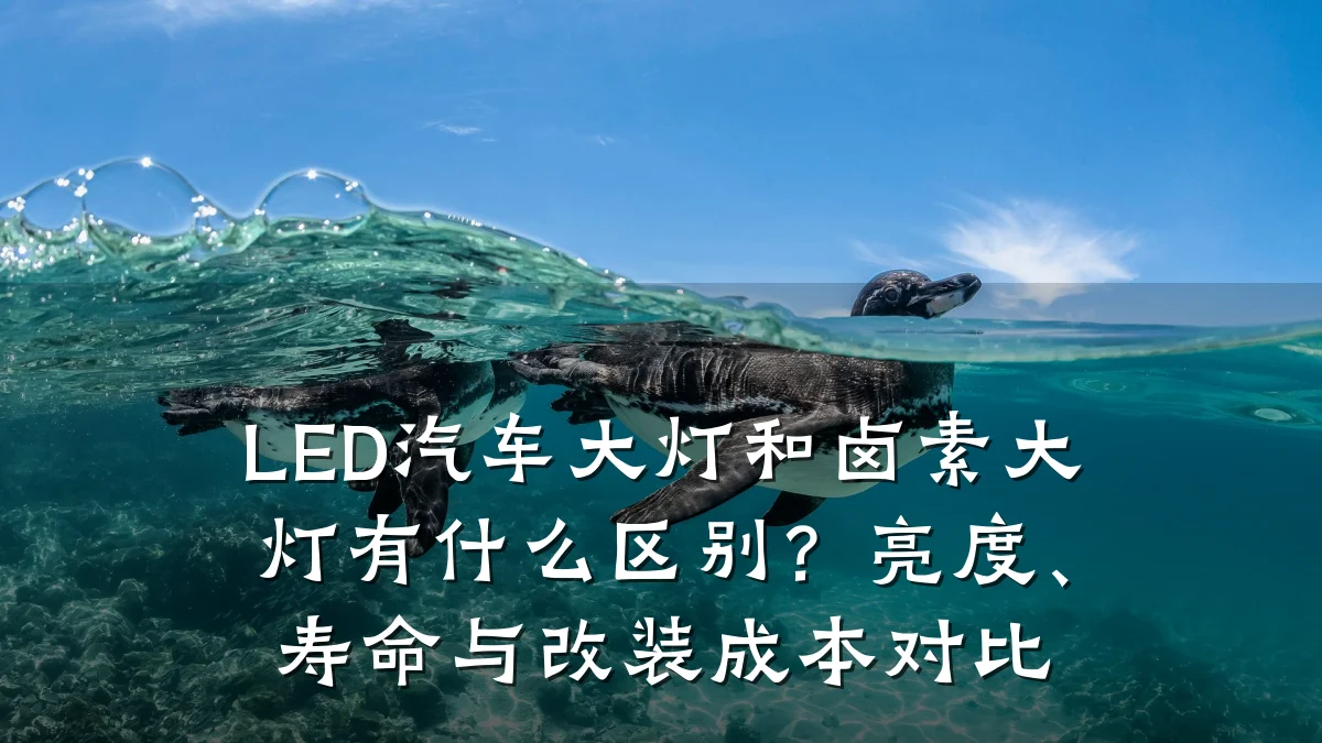 LED汽车大灯和卤素大灯有什么区别?亮度、寿命与改装成本对比