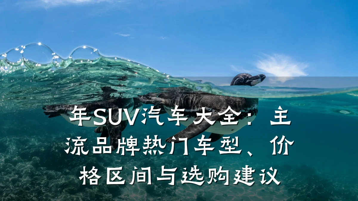 年SUV汽车大全:主流品牌热门车型、价格区间与选购建议