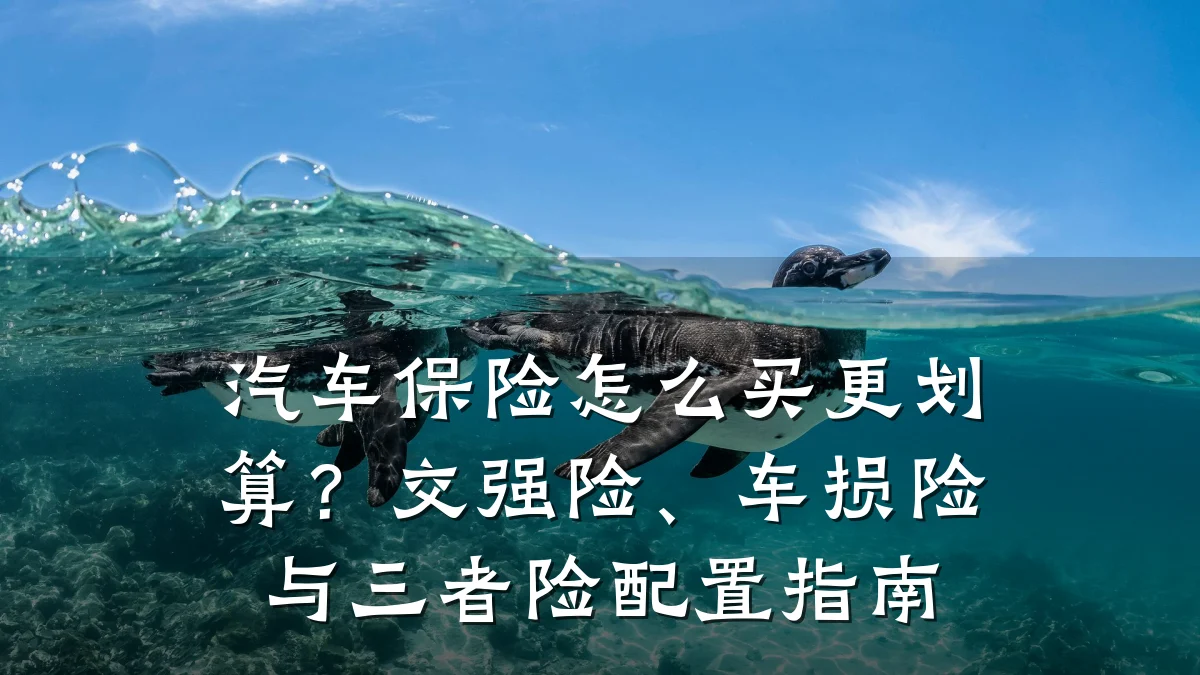 汽车保险怎么买更划算?交强险、车损险与三者险配置指南