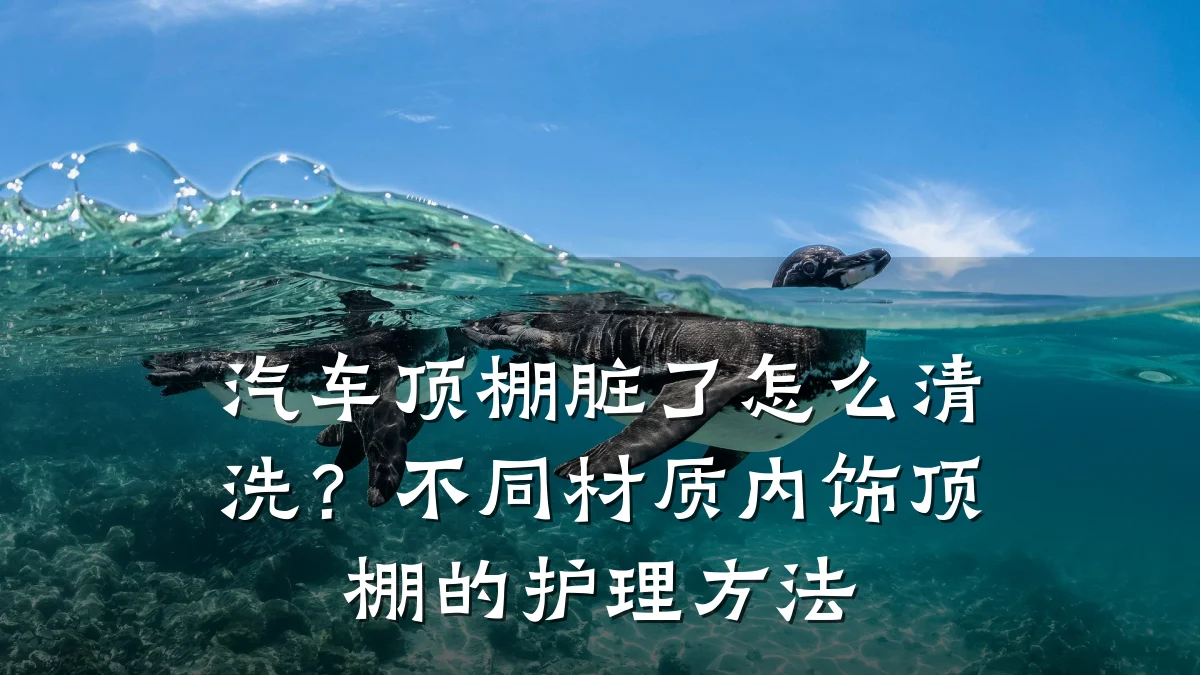 汽车顶棚脏了怎么清洗？不同材质内饰顶棚的护理方法