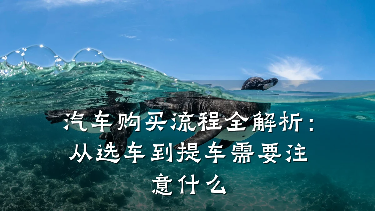 汽车购买流程全解析:从选车到提车需要注意什么