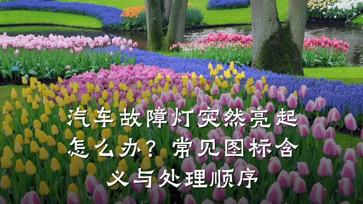 汽车故障灯突然亮起怎么办？常见图标含义与处理顺序